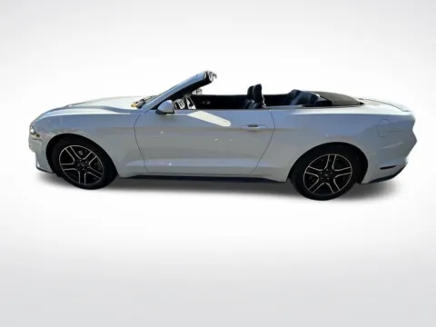 More photos of 2023 Ford Mustang EcoBoost Premium at Pinnacle Motor Company LKN, NC