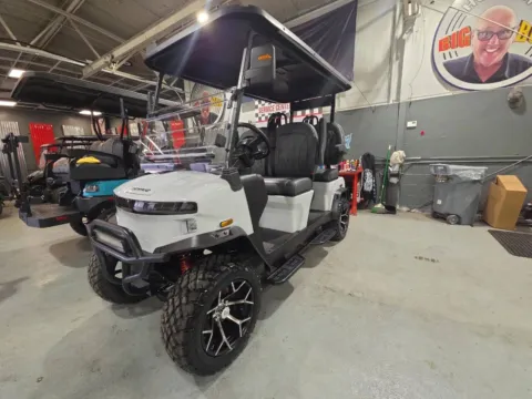 White 2026 Denago Rover XL for sale in Lake Orion, MI