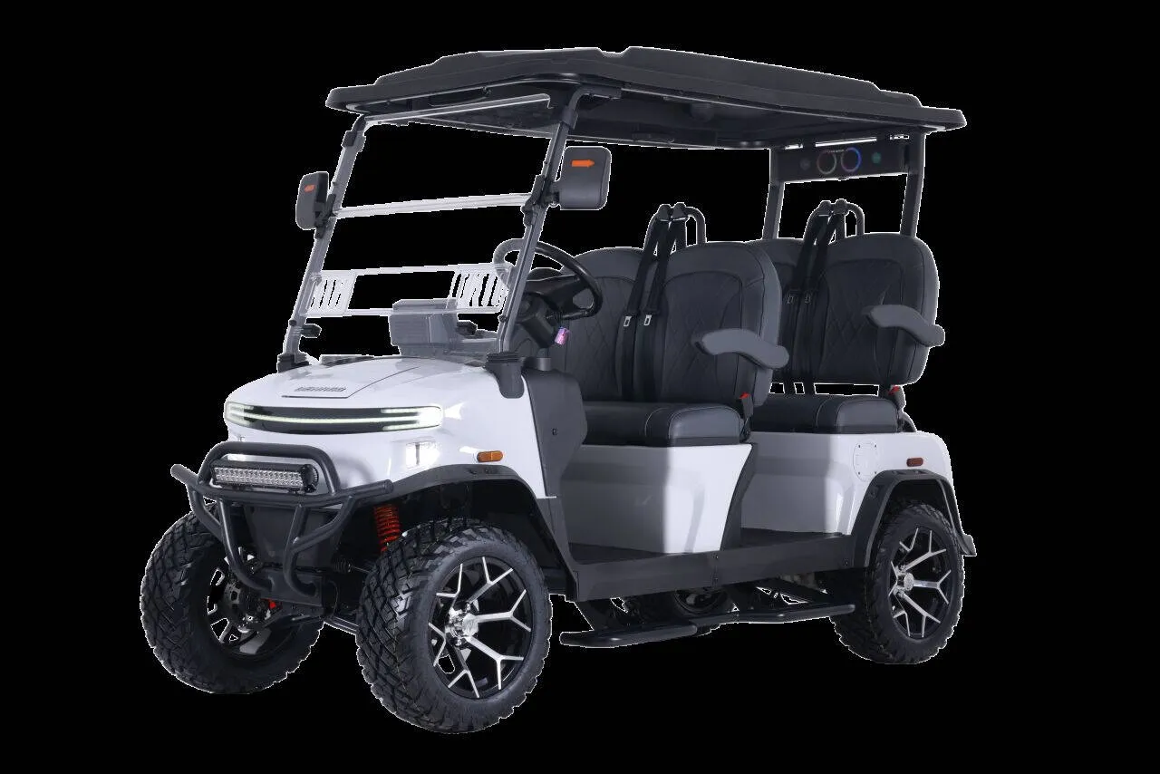 2026 Denago Rover XL for sale in Lake Orion, MI