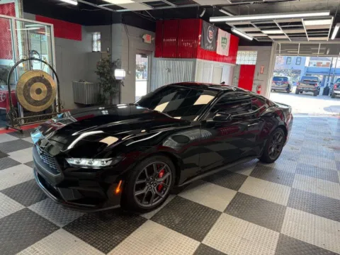 More photos of 2024 Ford Mustang EcoBoost 2dr Fastback at Victory Motors Royal Oak, MI