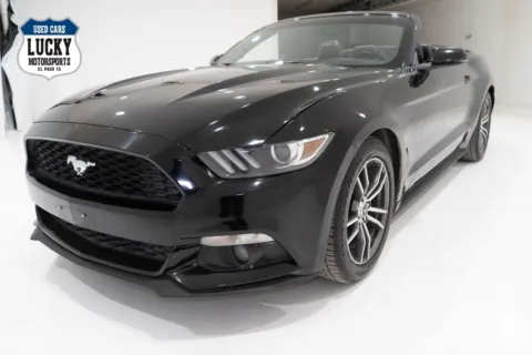 More photos of 2017 FORD MUSTANG EcoBoost Premium at Lucky Motorsports Inc., TX