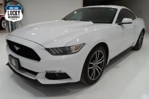More photos of 2016 FORD MUSTANG at Lucky Motorsports Inc., TX