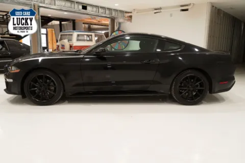 More photos of 2019 FORD MUSTANG at Lucky Motorsports Inc., TX