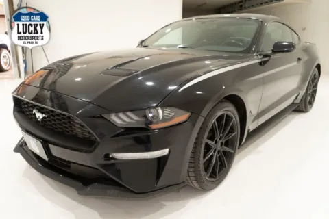 More photos of 2019 FORD MUSTANG at Lucky Motorsports Inc., TX