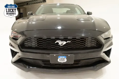 Another view of 2019 FORD MUSTANG for sale in El Paso, TX at Lucky Motorsports Inc.
