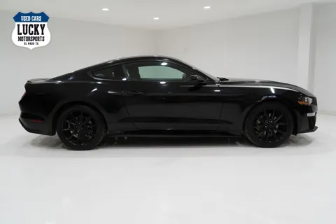 Black 2019 FORD MUSTANG for sale in El Paso, TX