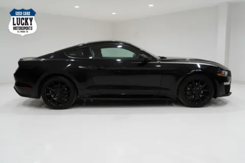 Black 2019 Ford Mustang for sale in El Paso, TX