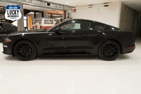 More photos of 2019 Ford Mustang at Lucky Motorsports Inc., TX