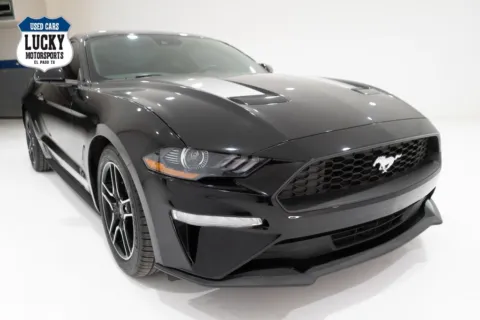 Photos of 2022 FORD MUSTANG for sale in El Paso, TX at Lucky Motorsports Inc.