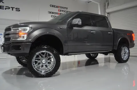 Gray 2020 Ford F-150 PLATNIUM for sale in Hattiesburg, MS