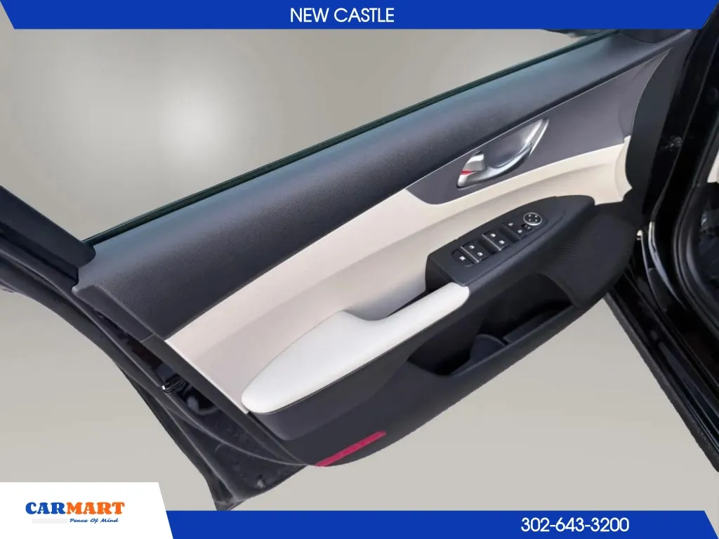Kia Forte photo 12