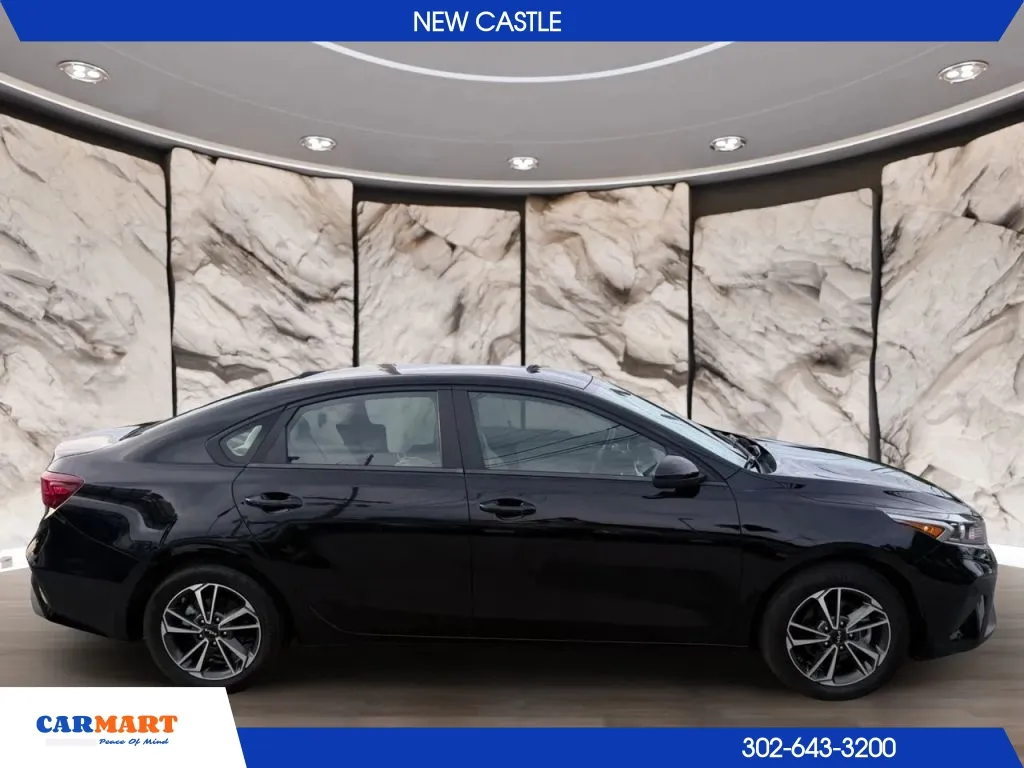 Kia Forte photo 8
