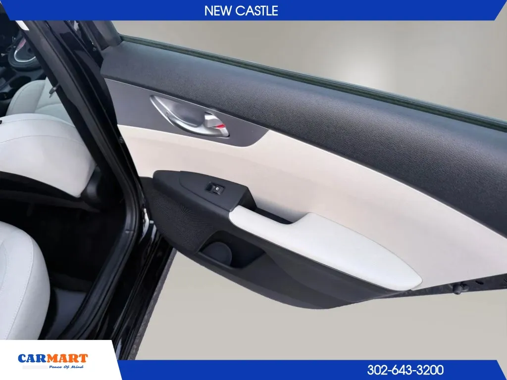 Kia Forte photo 18