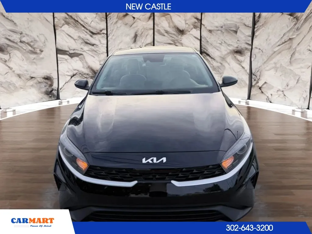 Kia Forte photo 10