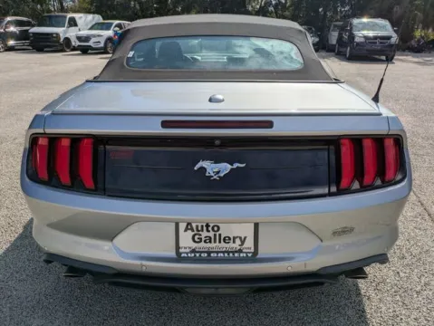 More photos of 2022 Ford Mustang EcoBoost Premium at Auto Gallery Jacksonville, FL