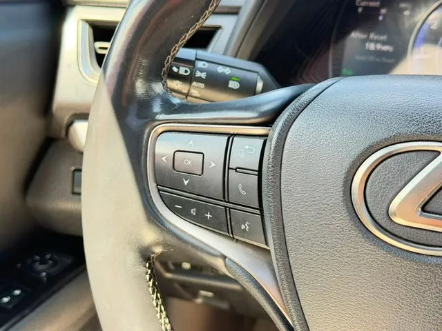 Lexus UX photo 17