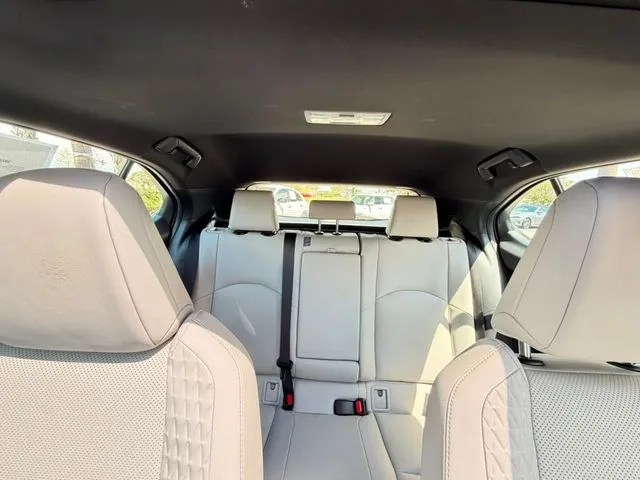 Lexus UX photo 31