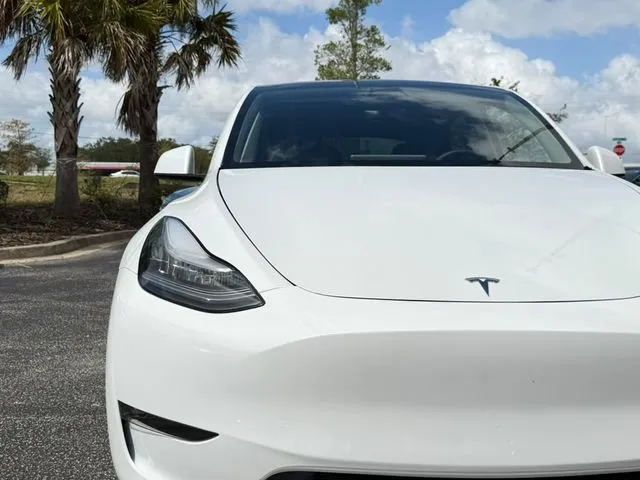 Tesla Model Y photo 11