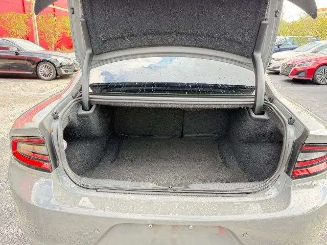 Dodge Charger photo 9