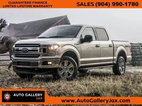 Black 2019 Ford F-150 Platinum for sale in Jacksonville, FL