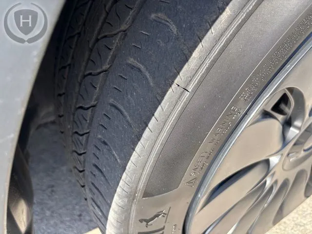 Tesla Model Y photo 45