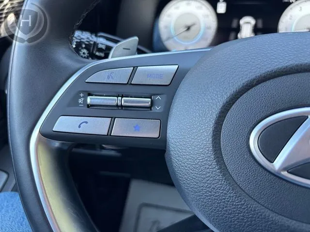 Hyundai Palisade photo 44