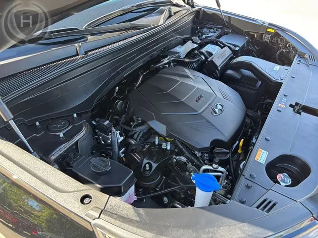 Hyundai Palisade photo 66