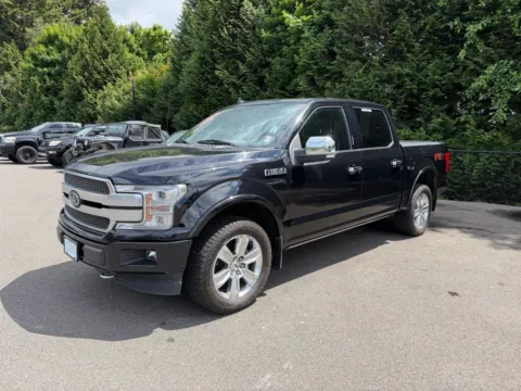 Black 2019 Ford F-150 Platinum for sale in Puyallup, WA