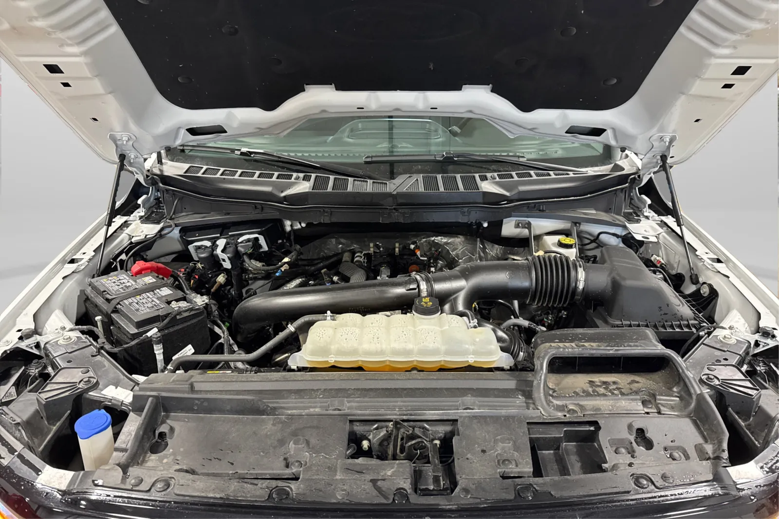 2025 Ford F-150 XLT - Photo 11