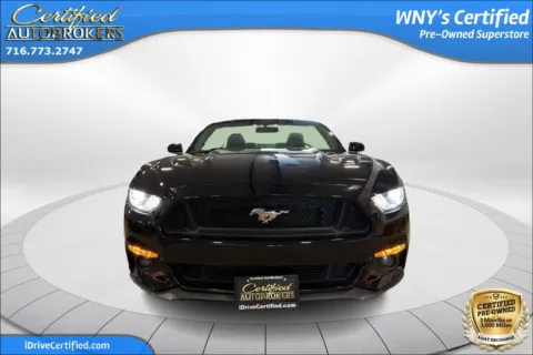 Photos of 2015 Ford Mustang GT Premium for sale in Grand Island, NY at Certified AutoBrokers
