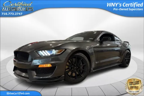 Gray 2019 Ford Mustang Shelby GT350 for sale in Grand Island, NY