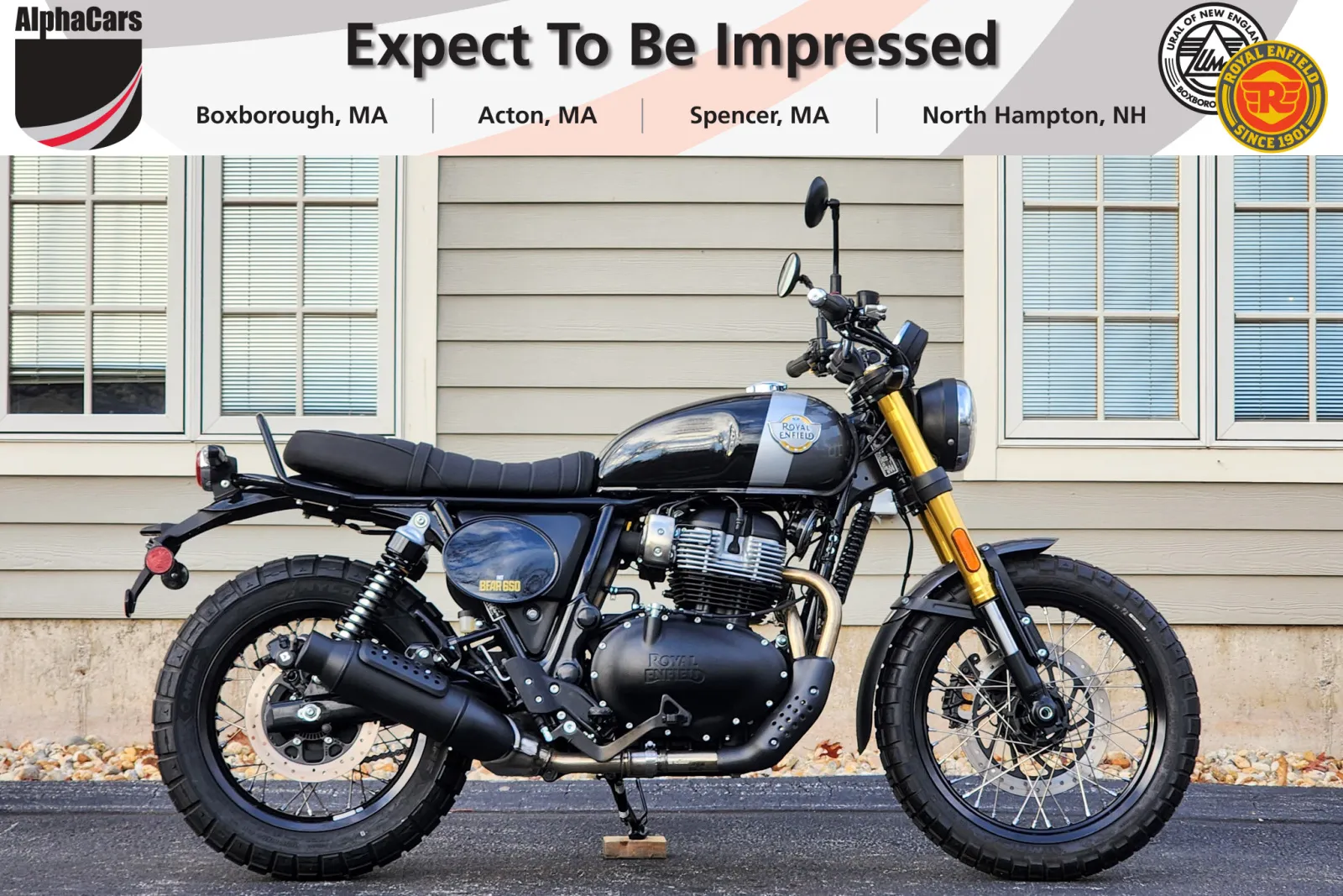 Gold 2027 Royal Enfield Bear 650 Golden Shadow for sale in Boxborough, MA