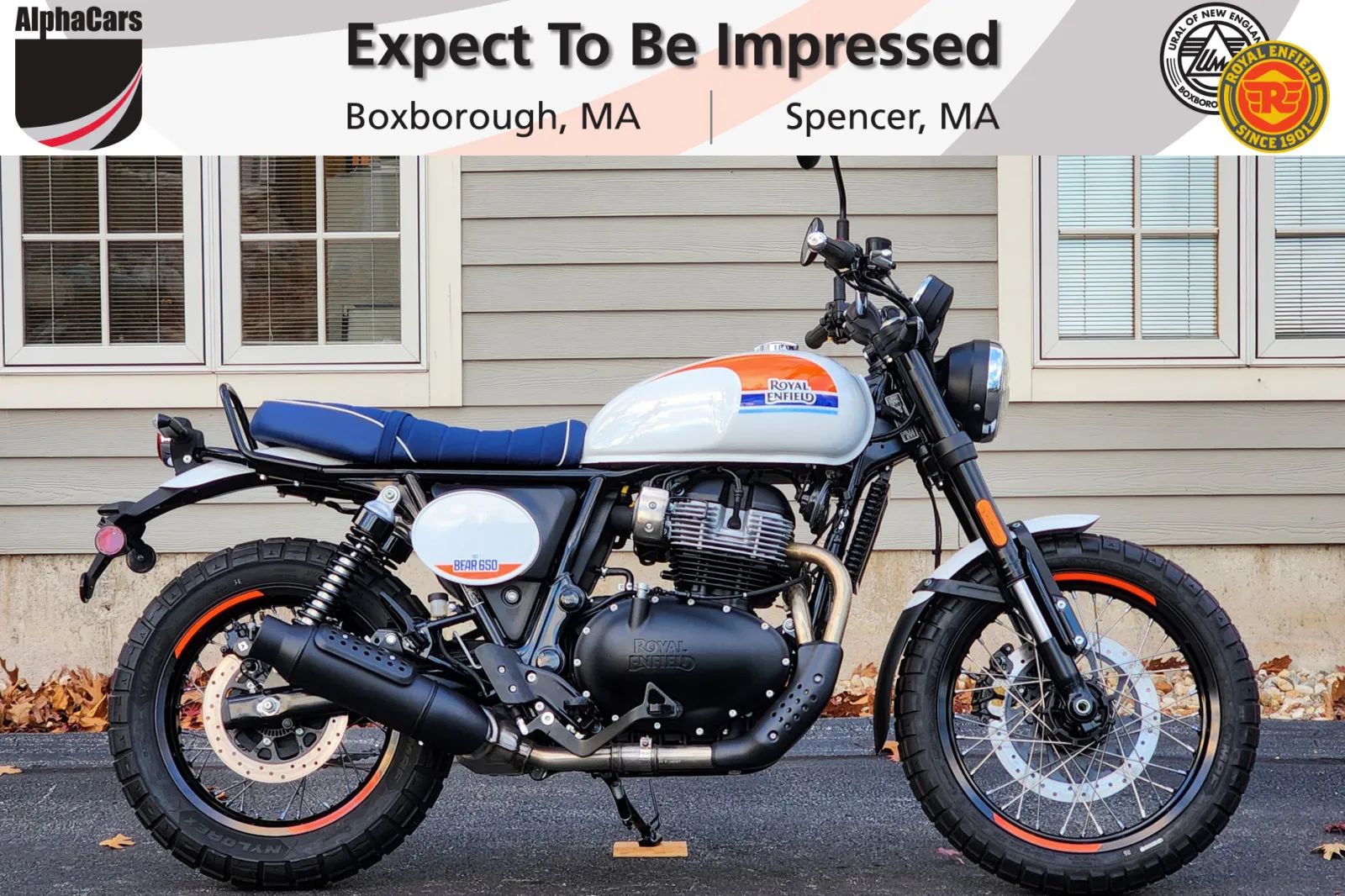 White 2025 Royal Enfield Bear 650 Boardwalk White for sale in Boxborough, MA