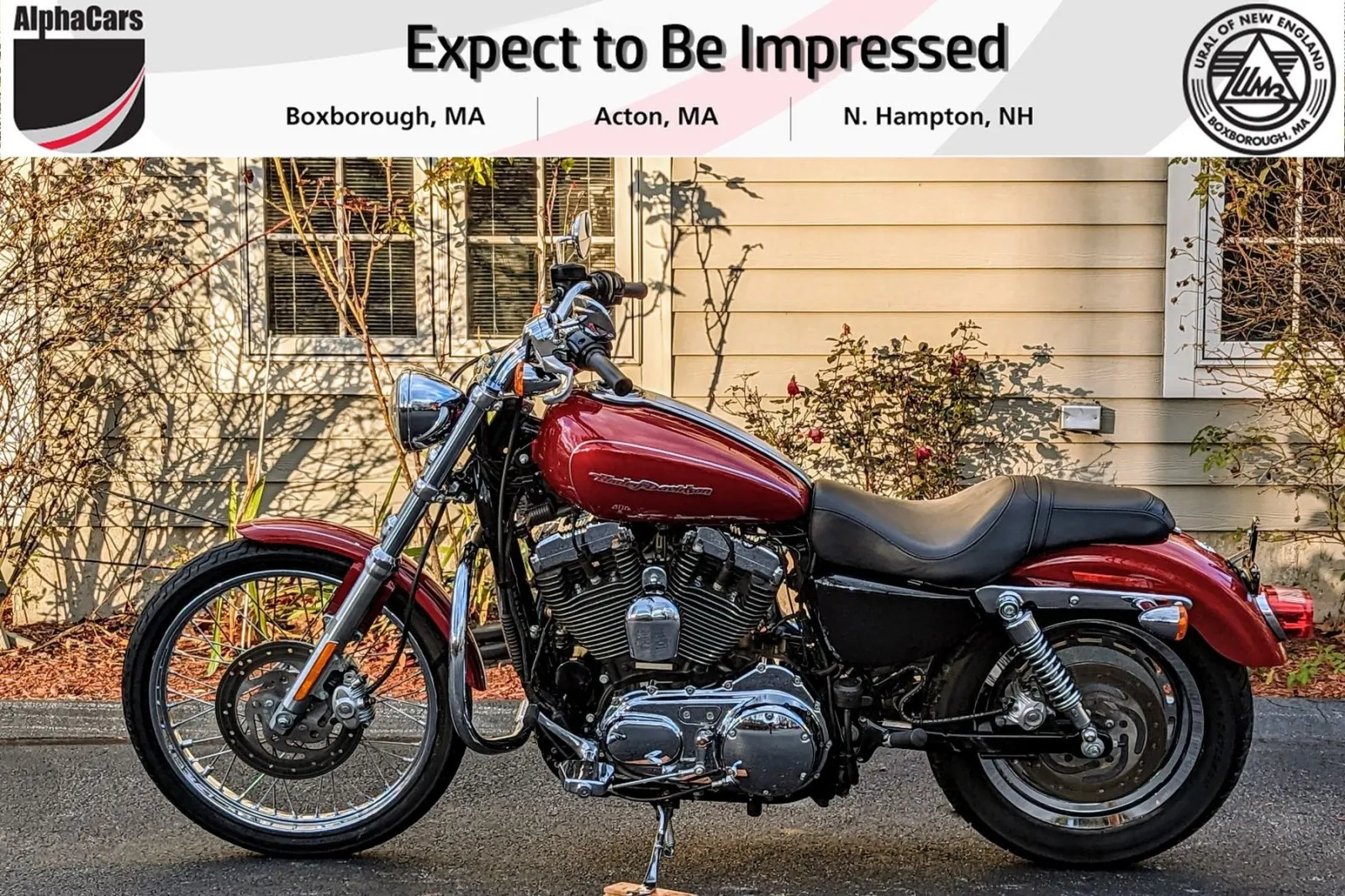 2007 Harley-Davidson Sportster 1200 Custom for sale in Boxborough, MA