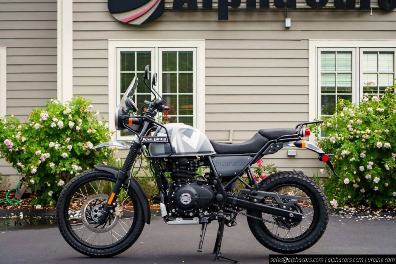 2019 Royal Enfield Himalayan for sale in Boxborough, MA