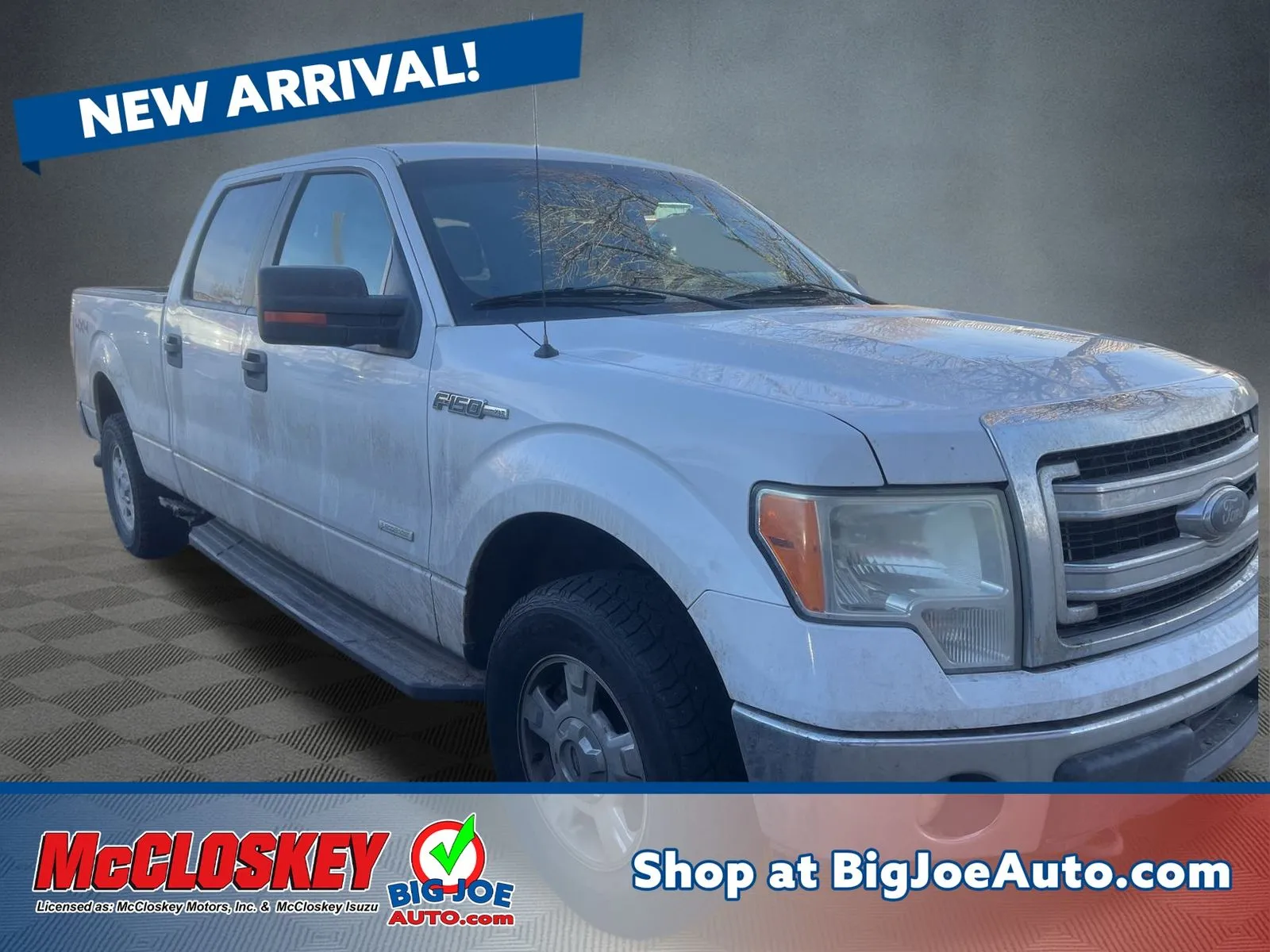 2014 Ford F-150 XL's photo