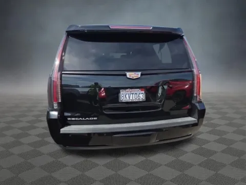 More photos of 2019 Cadillac Escalade ESV Platinum Edition at McCloskey Truck Town (Licensed as McCloskey Motors Inc.), CO