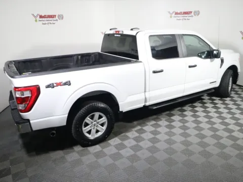 More photos of 2021 Ford F-150 XL at McCloskey Imports & 4x4s (Licensed as McCloskey Isuzu), CO