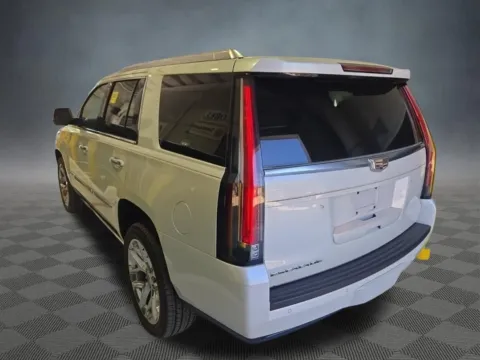 More photos of 2016 Cadillac Escalade Platinum Edition at McCloskey Truck Town (Licensed as McCloskey Motors Inc.), CO