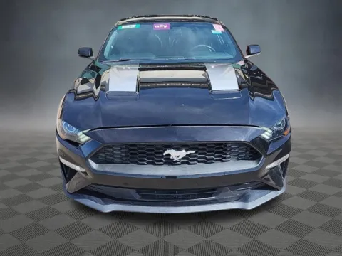 More photos of 2020 Ford Mustang EcoBoost Premium at McCloskey Truck Town (Licensed as McCloskey Motors Inc.), CO