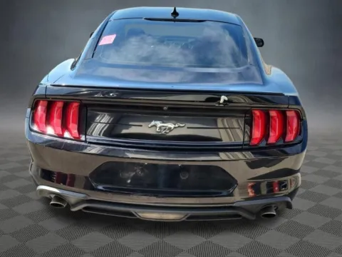 More photos of 2020 Ford Mustang EcoBoost Premium at McCloskey Truck Town (Licensed as McCloskey Motors Inc.), CO