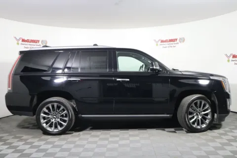 More photos of 2020 Cadillac Escalade Platinum Edition at McCloskey Truck Town (Licensed as McCloskey Motors Inc.), CO