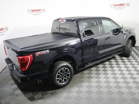 More photos of 2023 Ford F-150 XLT at McCloskey Truck Town (Licensed as McCloskey Motors Inc.), CO