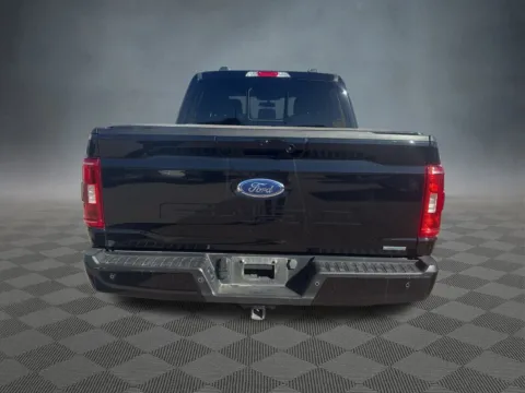 More photos of 2023 Ford F-150 XLT at McCloskey Truck Town (Licensed as McCloskey Motors Inc.), CO