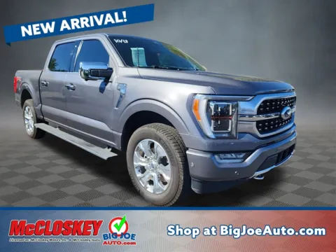 Gray 2021 Ford F-150 Platinum for sale in Colorado Springs, CO