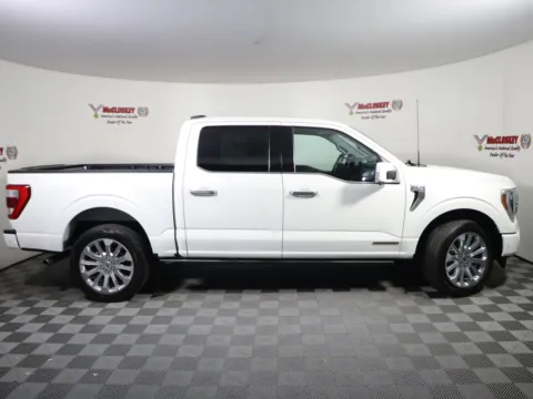 More photos of 2023 Ford F-150 Limited at McCloskey Truck Town (Licensed as McCloskey Motors Inc.), CO