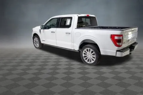 More photos of 2023 Ford F-150 Limited at McCloskey Truck Town (Licensed as McCloskey Motors Inc.), CO