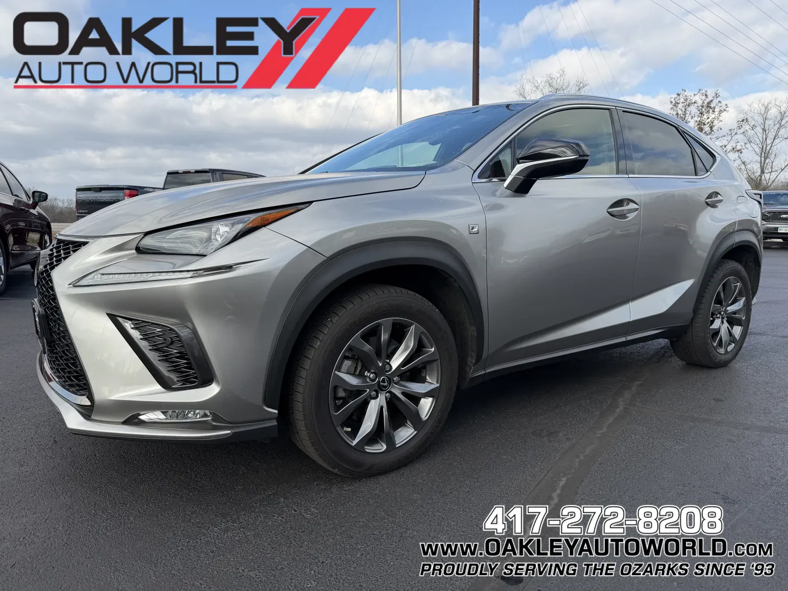 2020 Lexus NX 300 F SPORT's photo