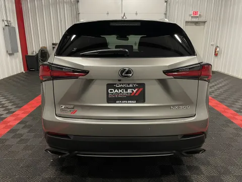 Another view of 2020 Lexus NX 300 F Sport for sale in Branson West, MO at Oakley Auto World