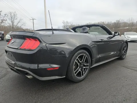 More photos of 2019 Ford Mustang EcoBoost Premium at Oakley Auto World, MO